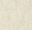 Bone