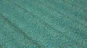 Acquarium