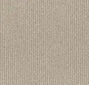 Gray Vireo