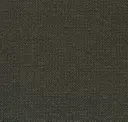 Squid Ink