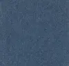 Victoria Blue