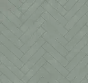 Aloe
