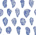China Blue On White