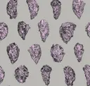 Pink On Grey