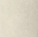 Bone