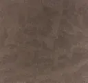 Mocha