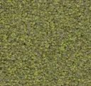 4j41
