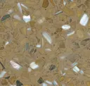 Champagne Pearl