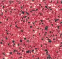 Wildberry Red