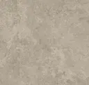 Light Silver