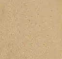 Sand Beige