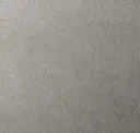 Champagne Silver