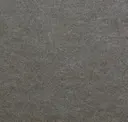 Elephant Skin