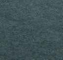 Sea Teal