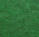 Cadmium Green