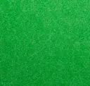 Lawn