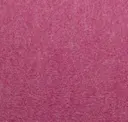 Heather Violet