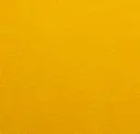 Bee Yellow