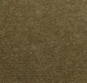 Dark Ochre