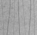 442 Grey
