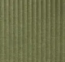 384 Olive