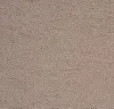 004 Taupe