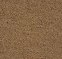 010 Bronze