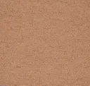 011 Camel