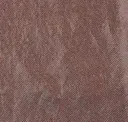 003 Bronze