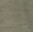 007 Koala