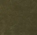 009 Olive