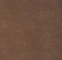 014 Camel