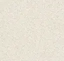 Eggshell Beige