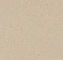 Dune Yellow