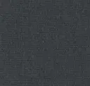 569