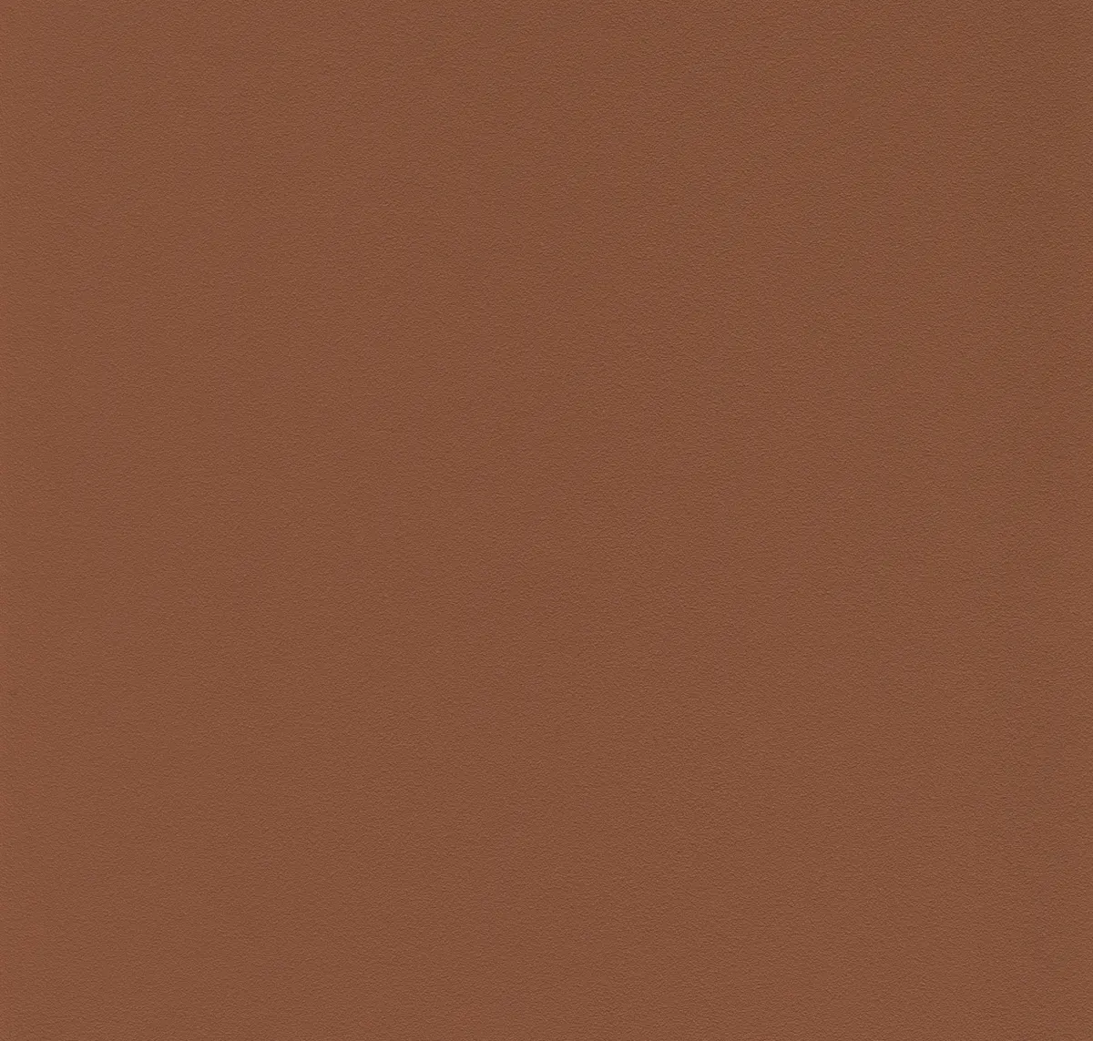 Main