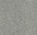 Ash Grey