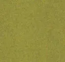 Pistachio