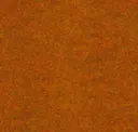 Cob Orange