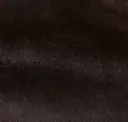 Nutella