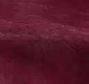 Prunga