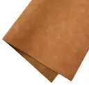 Sahara