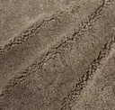 Sahara