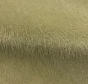 Bosco