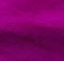 Fuxia
