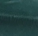 Petrolio