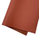Salza