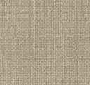 Beige Stone