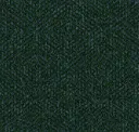 Peacock Patina