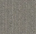 Tinged Mink
